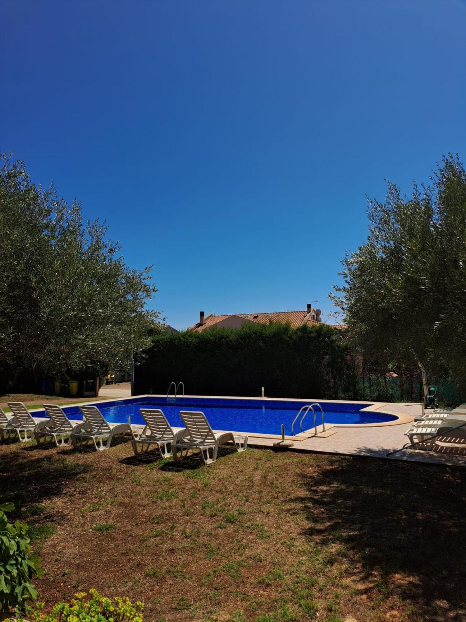 Apartment Dragica Poreč Oda fotoğraf